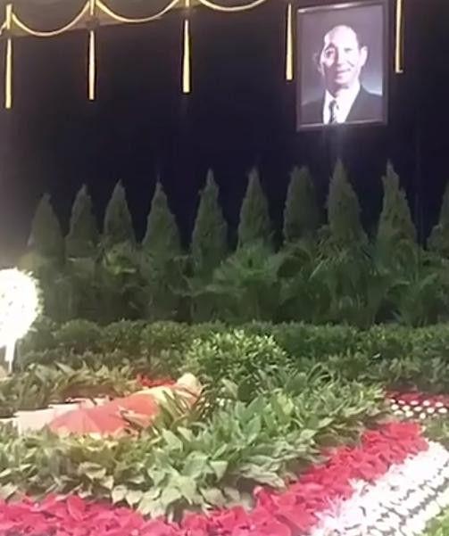 袁老身上覆蓋著鮮紅的國(guó)旗