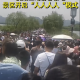 人從眾，西湖斷橋五一假期變“人橋”，有人在高速上遛狗，你還想出門么