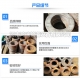 防水翼環(huán)止水環(huán)生產(chǎn)廠家 河南鴻瑞管道設備有限公司